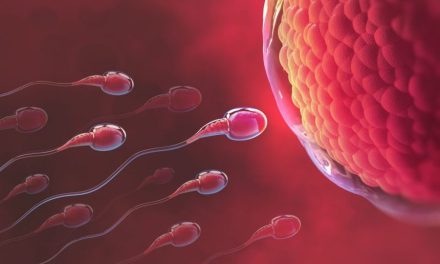 Pembuahan Jantan Oleh Sperma Pada Testis Seorang Pria