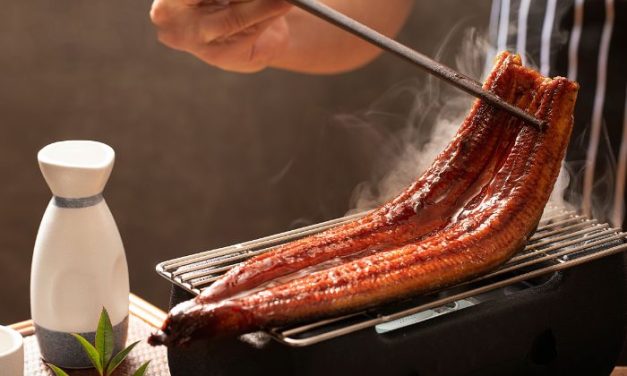 Hidangan Air Tawar Belut Atau Unagi Di Jepang