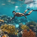 Aktivitas Air Snorkeling Melihat Keindahan Alam