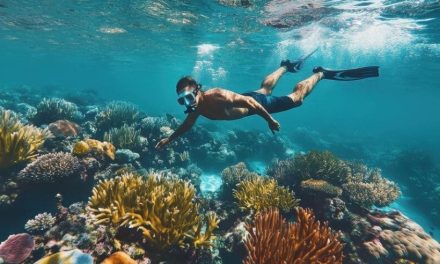 Aktivitas Air Snorkeling Melihat Keindahan Alam