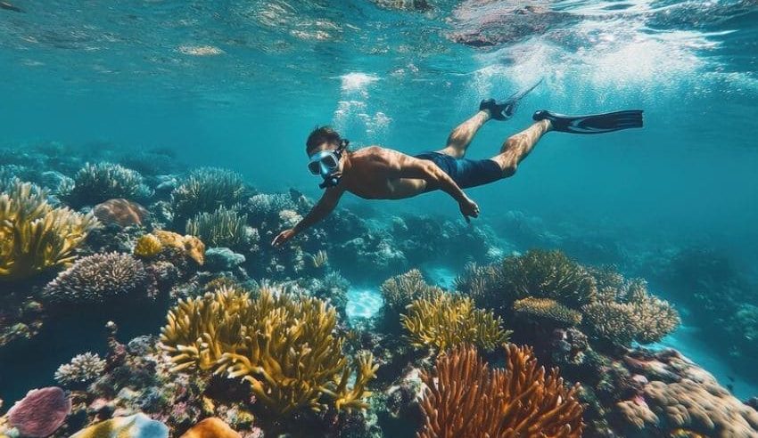 Aktivitas Air Snorkeling Melihat Keindahan Alam
