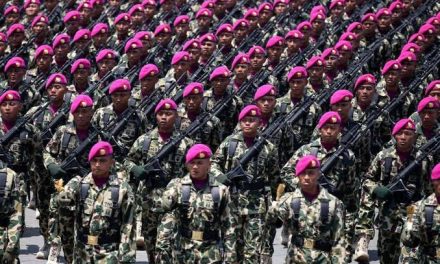 Profesi Keamanan Negara Dengan Menjadi Tentara