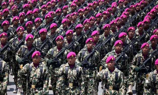 Profesi Keamanan Negara Dengan Menjadi Tentara