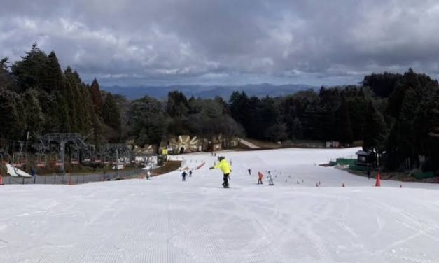Olahraga Tahunan Ski Dengan Memanfaatkan Salju