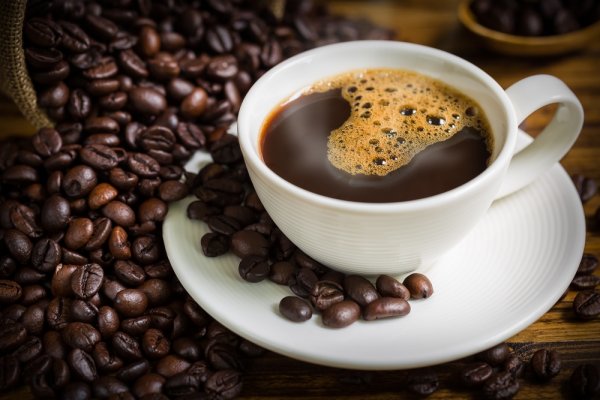 Sebuah Tanaman Bijian Kopi Yang Menjadi Minuman Populer