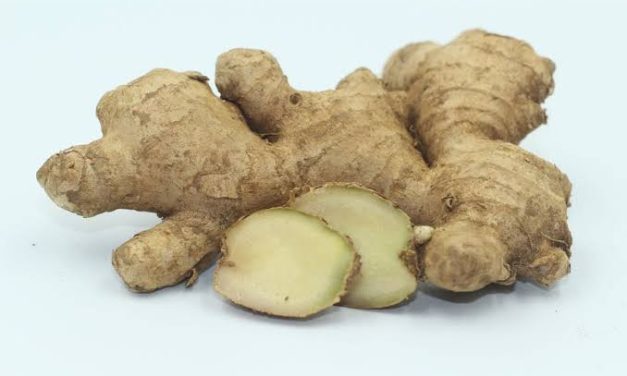 Suatu Rempah Herbal Jahe Tanaman Dari Asia