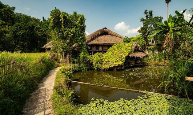 Kehidupan Cara Seseorang Slow Living Dengan Tenang