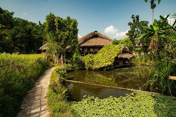 Kehidupan Cara Seseorang Slow Living Dengan Tenang